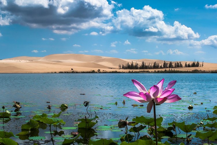 TOUR DU LICH MŨI NÉ (3 NGÀY 2 ĐÊM)