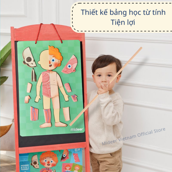 XẾP HÌNH CƠ THỂ HUMAN BODY MAGNETS - MIDEER