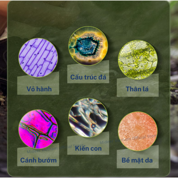 KÍNH HIỂN VI MINI BỎ TÚI EXPLORING WITH MICROSCOPE - MIDEER