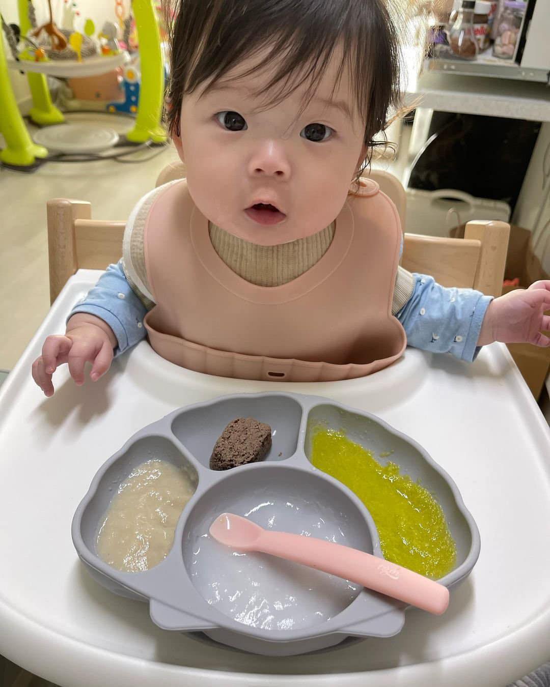 KHAY ĂN DẶM HÌNH SÒ - TGM