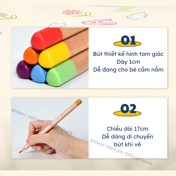 BÚT CHÌ MÀU GỐC DẦU VIBRANT COLORED PENCIL - MIDEER