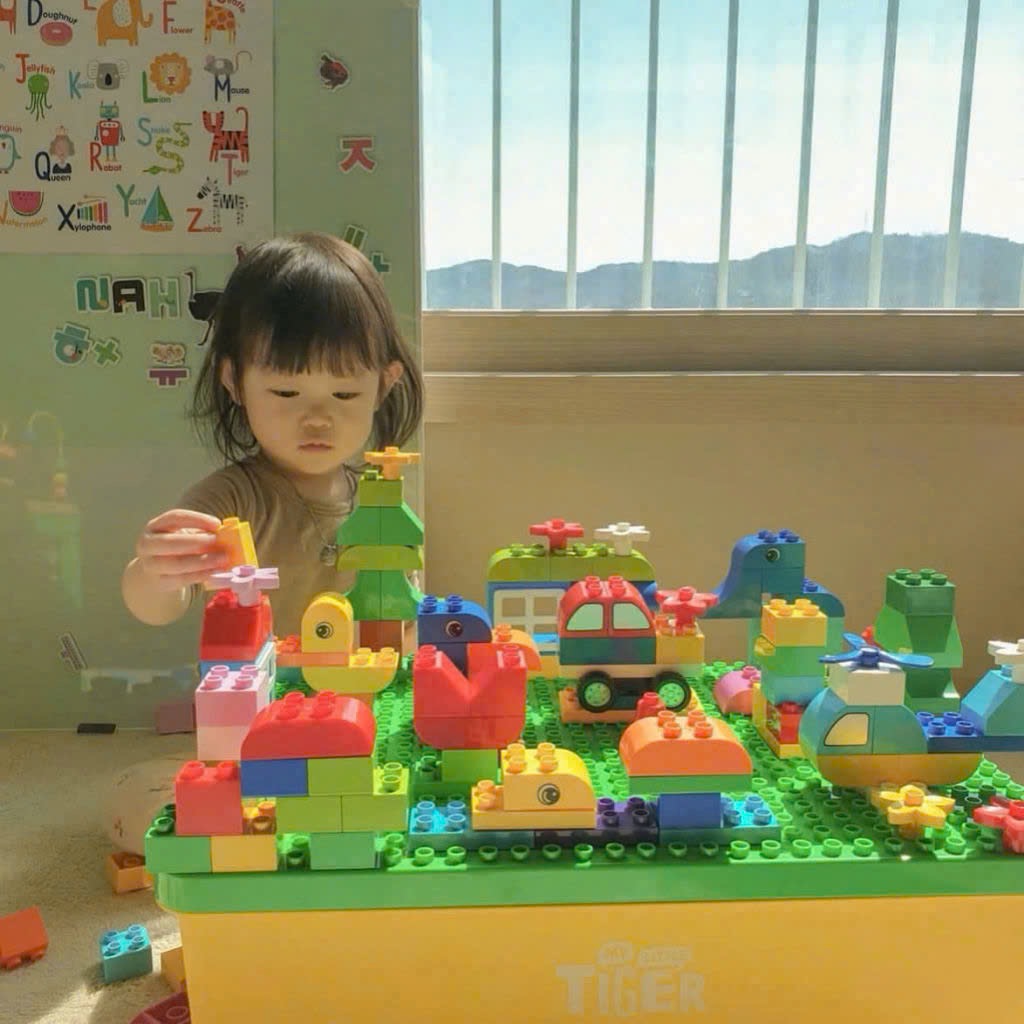 BỘ HỘP LEGO 160 KHỐI MY LITTLE TIGER HÀN QUỐC
