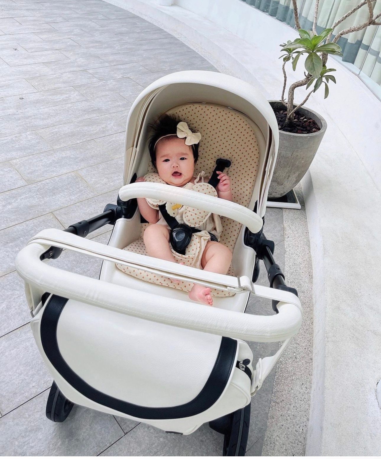 XE ĐẨY CAO CẤP MIMA XARI