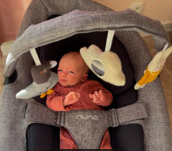 NÔI LEAF GROW BOUNCER - NUNA