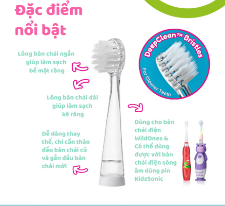 BỘ 4 ĐẦU BÀN CHẢI THAY THẾ CHO BÀN CHẢI ĐIỆN WILDONES TỪ 0- 10 TUỔI - BRUSH-BABY