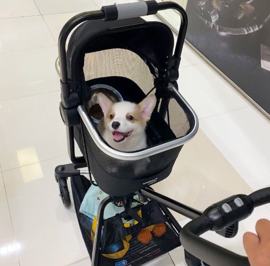 BỘ CHUYỂN ĐỔI LỒNG ĐỰNG THÚ CƯNG XE ĐẨY ON-THE-ON - UNILOVE