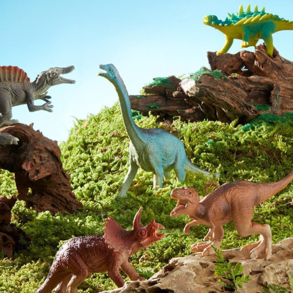 MÔ HÌNH ĐỘNG VẬT SIMILATION TOY SET 3+ - MIDEER