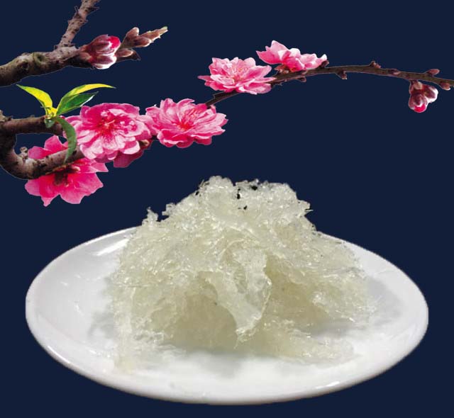 Set 10 túi yến tươi