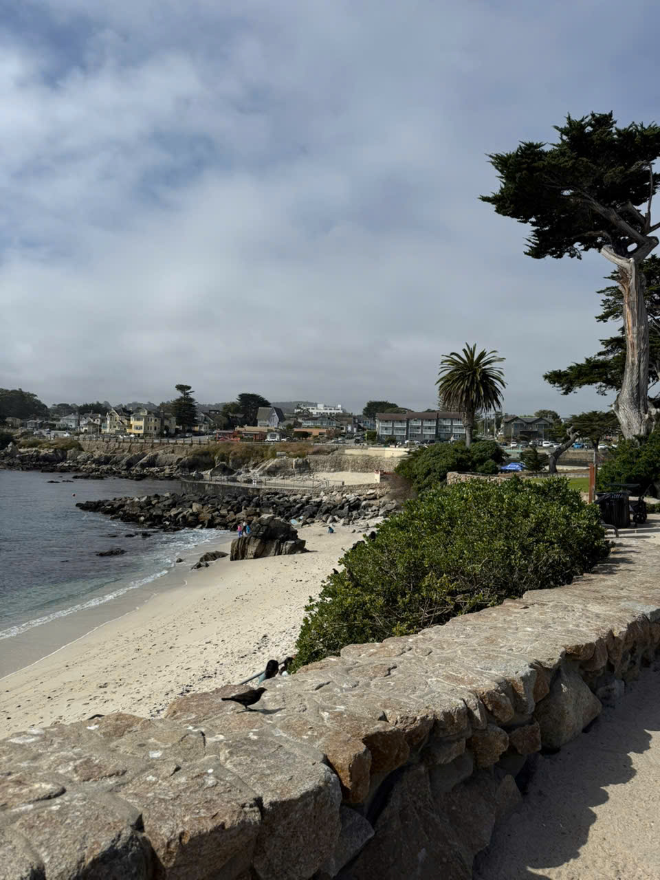 WORKSHOP MONTEREY 03.2025