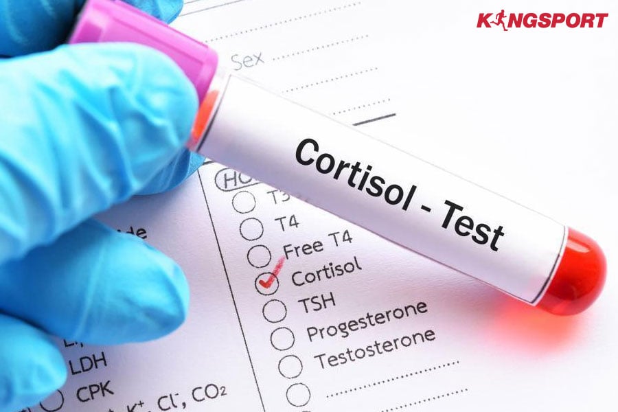 Ăn Gì Để Giảm Stress? Top 10 Không Thể Bỏ Lỡ!