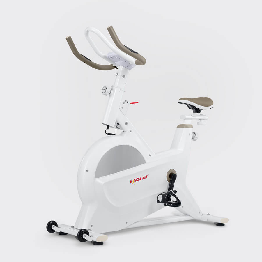 XE ĐẠP TẬP KINGSPORT BK-5805