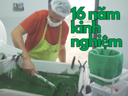 Tại sao Tảo xoắn Spirulina là nguồn protein và axit amin thiết yếu, hoàn hảo cho người ăn chay?