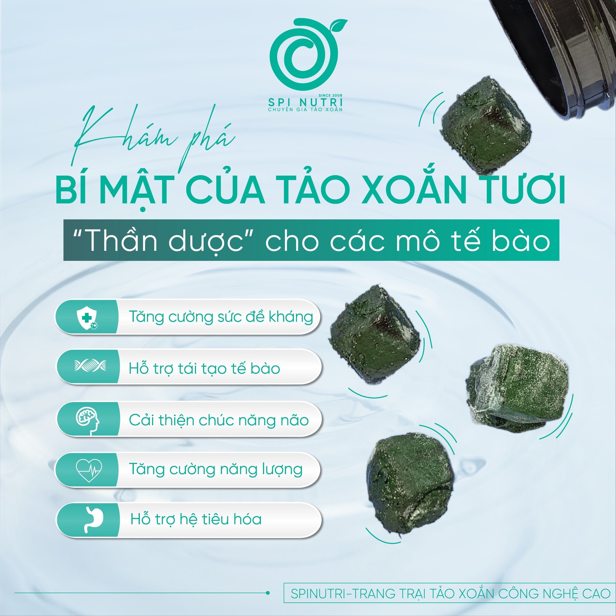 Khám Phá Bí Mật Của Tảo Xoắn Tươi - Thần Dược Cho Các Mô Tế Bào
