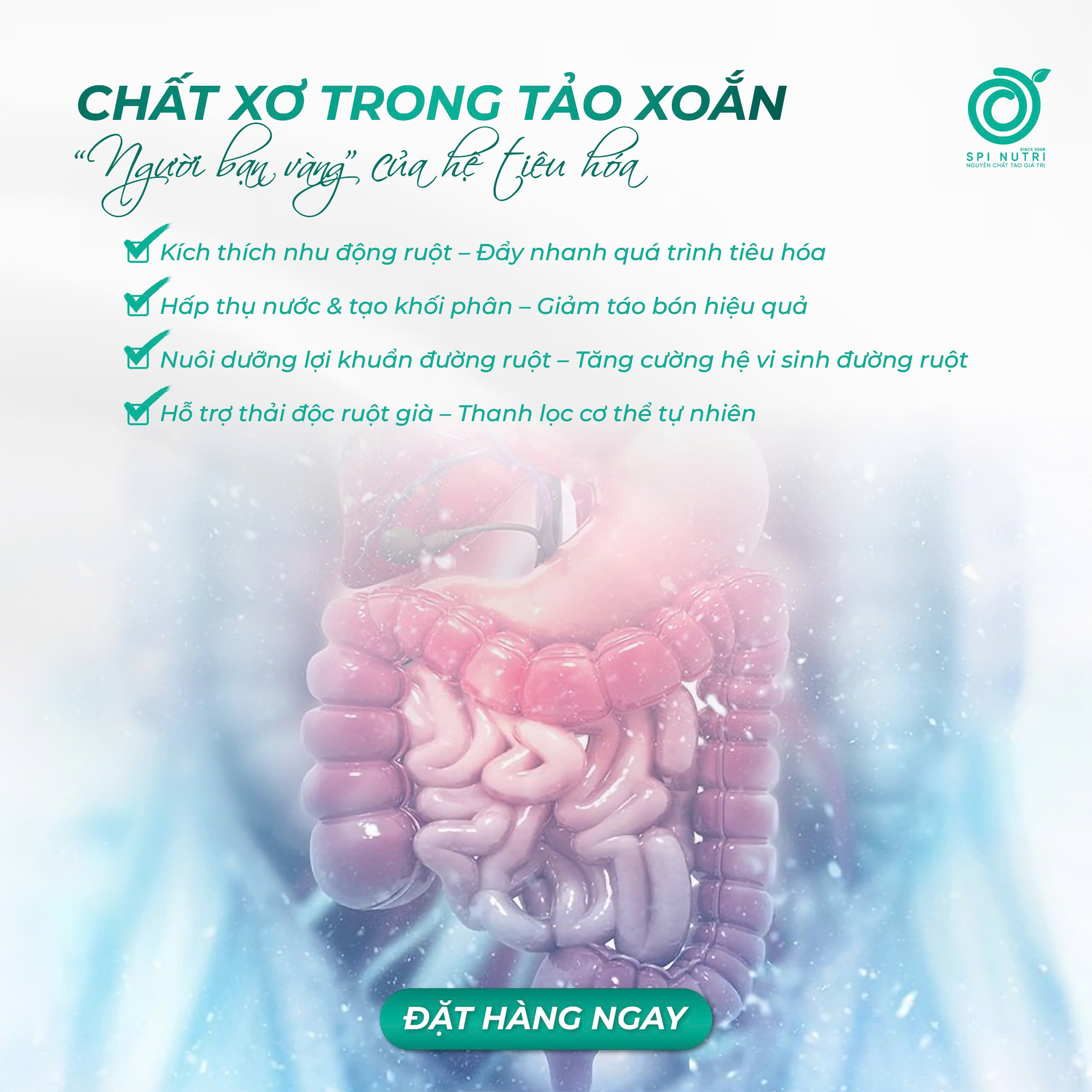 CHẤT XƠ TRONG TẢO XOẮN – “NGƯỜI BẠN VÀNG” CỦA HỆ TIÊU HÓA