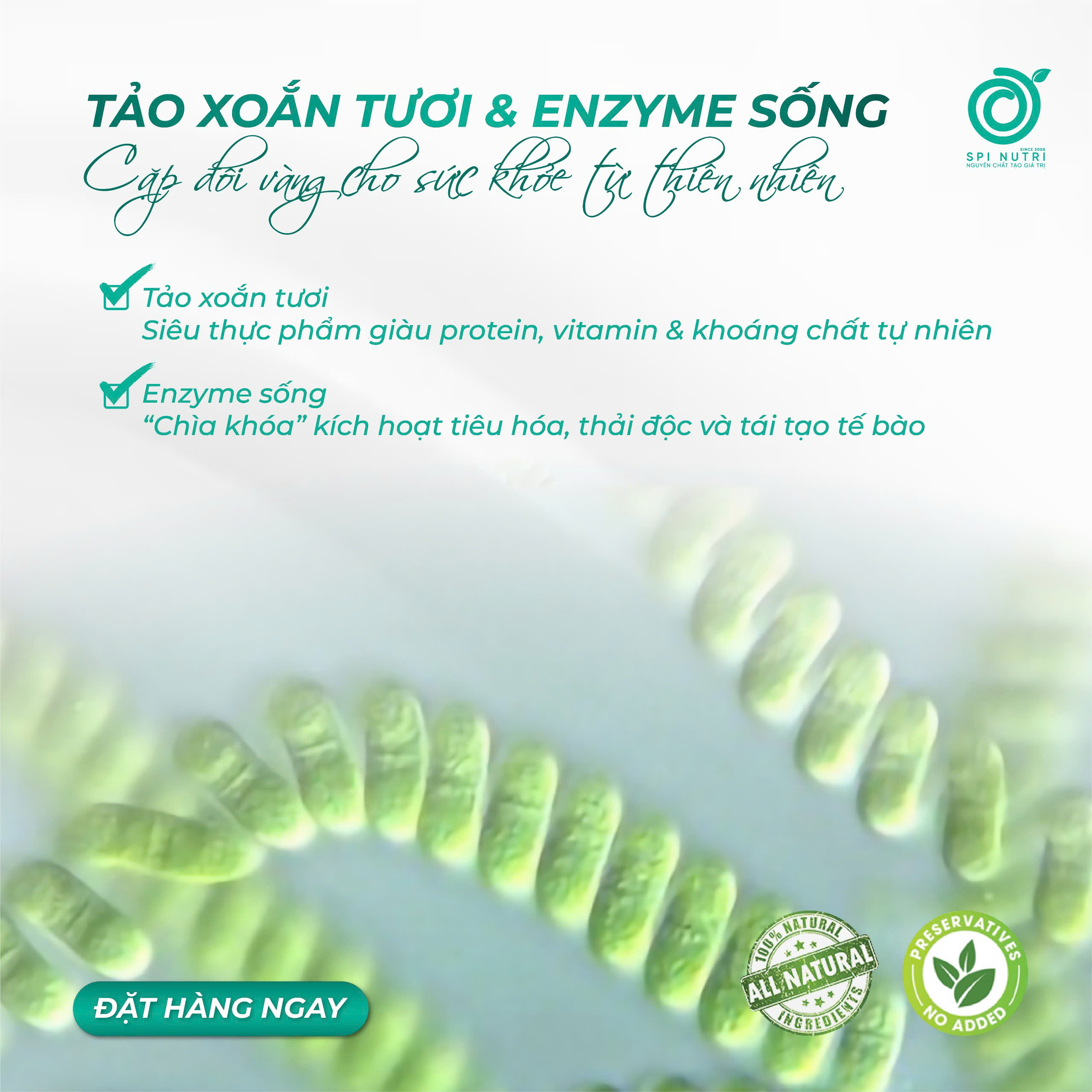 TẢO XOẮN TƯƠI & ENZYME SỐNG – CẶP ĐÔI VÀNG CHO SỨC KHỎE TỪ THIÊN NHIÊN