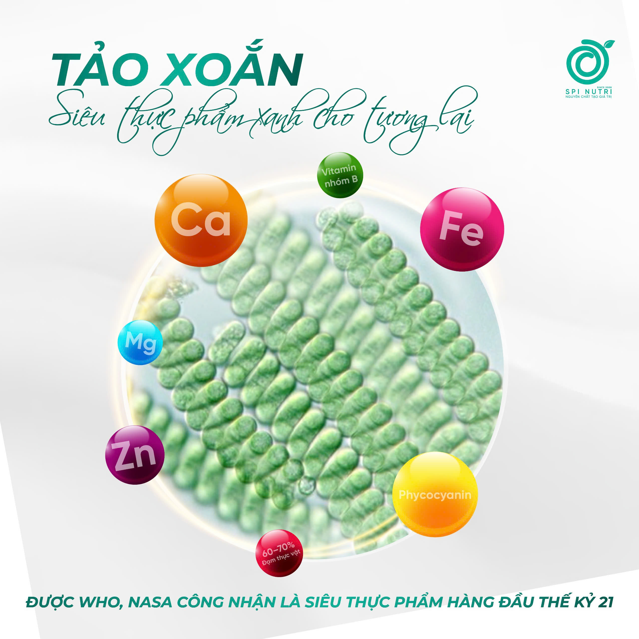 Tảo Xoắn Và Cuộc Cách Mạng Thực Phẩm Xanh – “Siêu Thực Phẩm” Định Hình Tương Lai Dinh Dưỡng Toàn Cầu