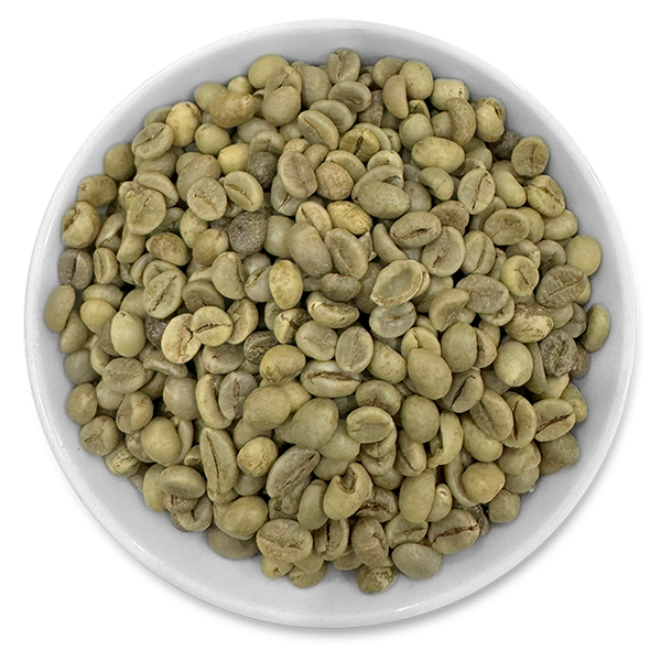 ROBUSTA COFFEE GRADE 1, SCREEN 16 WET-POLISHED