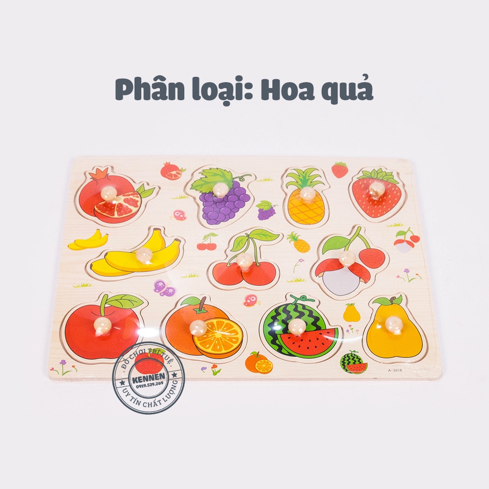 Bảng núm - gỗ tự nhiên - nhiều chủ đề LOẠI ĐẸP