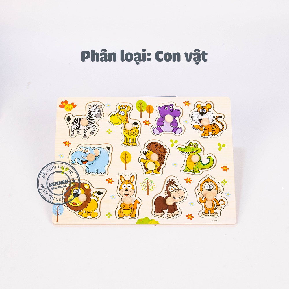 Bảng núm - gỗ tự nhiên - nhiều chủ đề LOẠI ĐẸP