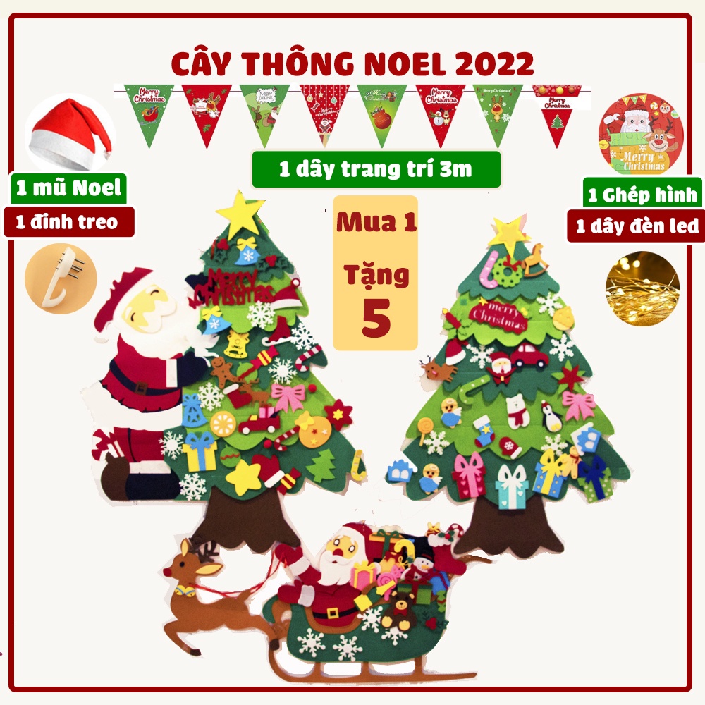 Quất tết 2025 - Thông 2025