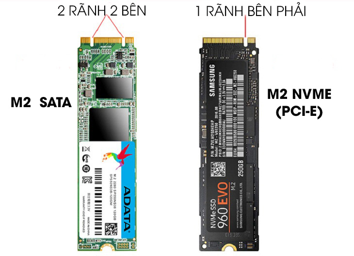 SSD M2 SATA và SSD M2 NVME