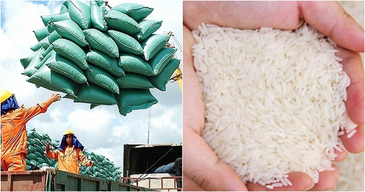 'Cha đẻ' gạo ST25: Giá gạo Việt đang cao nhất thế giới thì nên tranh thủ xuất khẩu nhiều