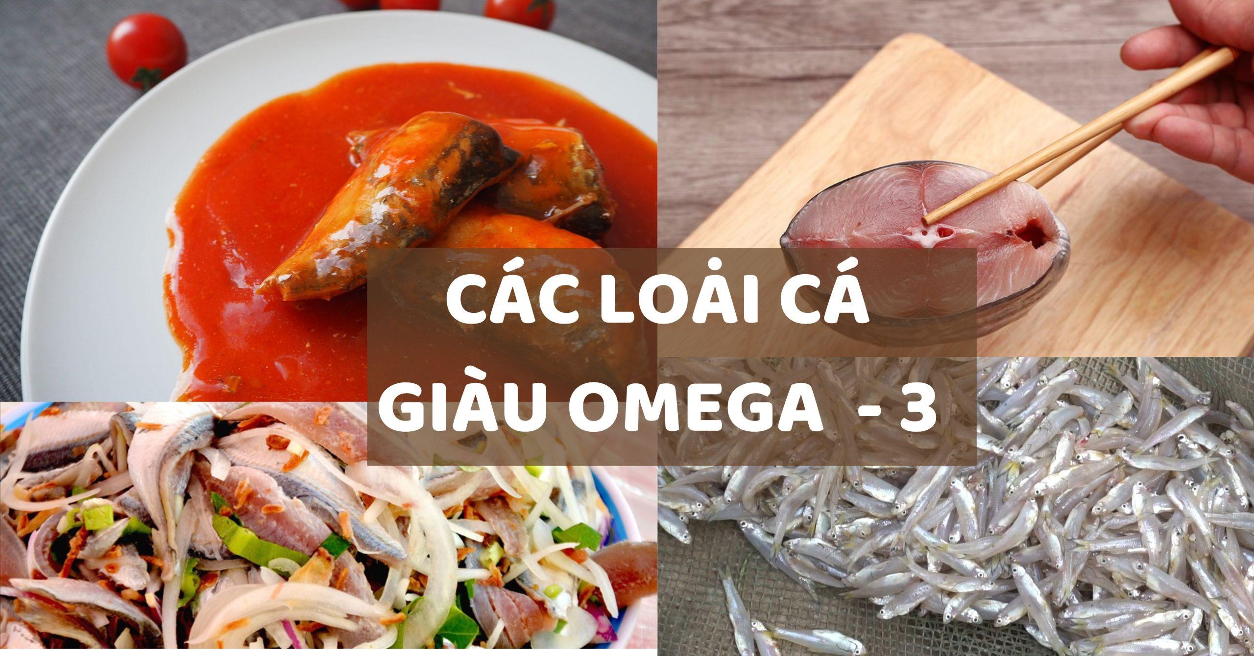 Loại cá giá rẻ giàu omega-3, nấu hay kho đều ngon, cả nhà đánh bay nồi cơm