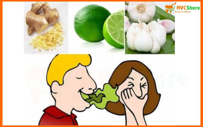 22 cách chữa hôi miệng tận gốc tại nhà cấp tốc bằng dân gian