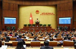 Tám điểm nhấn đáng chú ý của Luật Đất đai (sửa đổi) năm 2024
