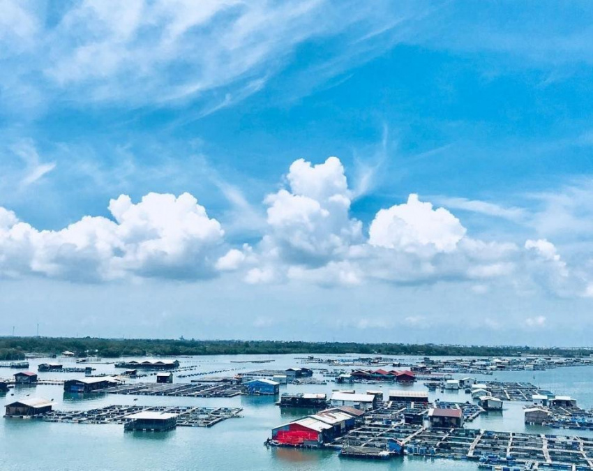 Cẩm nang du lịch làng bè Long Sơn trọn vẹn nhất