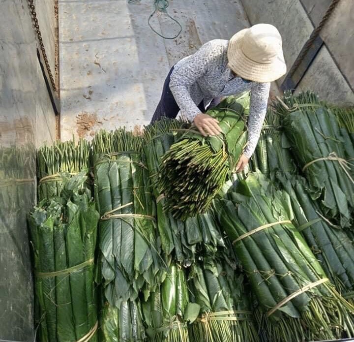 Chợ lá dong lâu đời nhất Hà Nội nhộn nhịp ngày giáp Tết