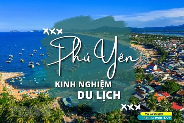 Kinh nghiệm du lịch Phú Yên - chơi trọn “xứ hoa vàng cỏ xanh”