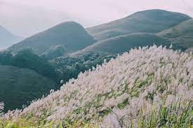 Kinh nghiệm du lịch Quảng Ninh tự túc dành cho hội mê “vi vu