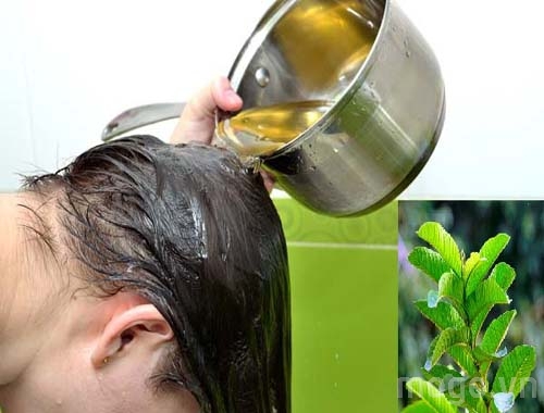 Cách dùng trà xanh làm đẹp tóc và chống rụng