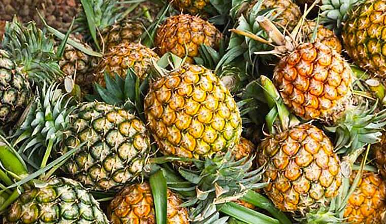 Trái thơm giúp giảm nghẹt mũi