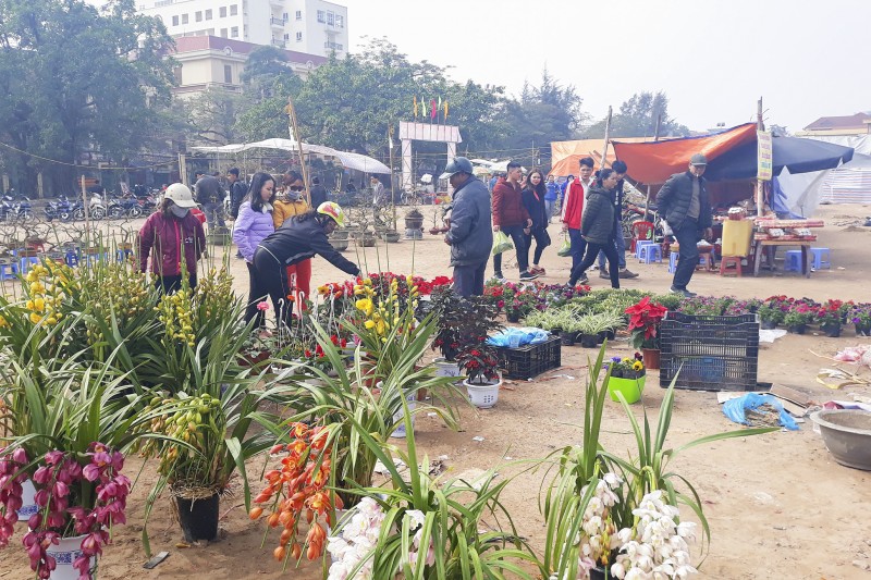 Nghi vấn xe công vụ biển Thái Bình đi chợ hoa ở Nam Định