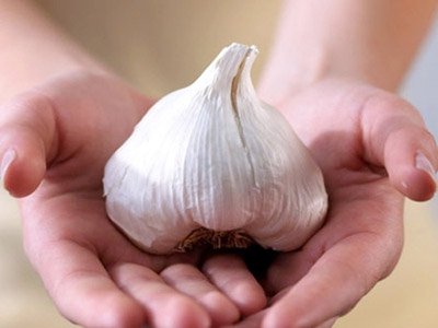 Mẹo vặt: Cách chữa bệnh mùa hè bằng thảo dược