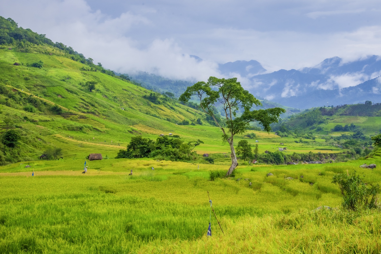 Say đắm vẻ đẹp ở Ngọc Linh