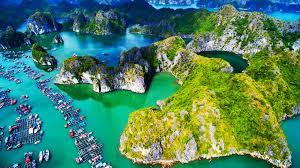 2 ngày 1 đêm trekking Cát Bà và khám phá vịnh ngọc