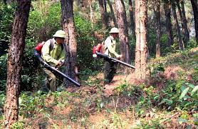 Thời tiết ngày 19/4: Nắng nóng nhiều nơi trên cả nước