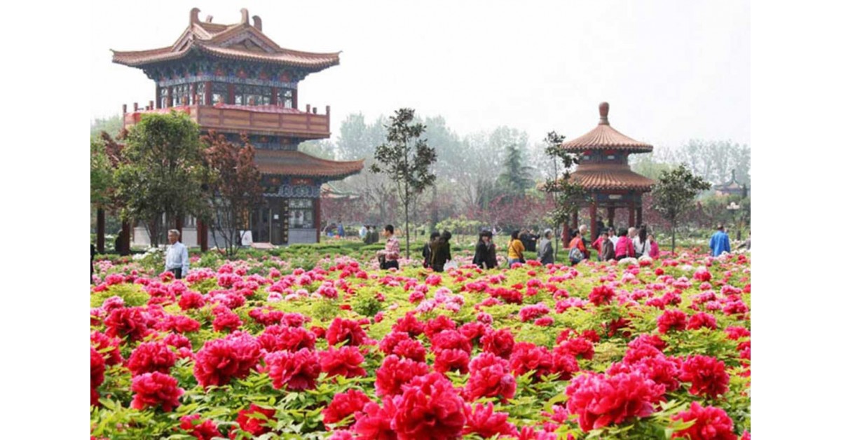 Du Lịch Trung Quốc [TRỊNH CHÂU - KHAI PHONG - LẠC DƯƠNG - TÂY AN]