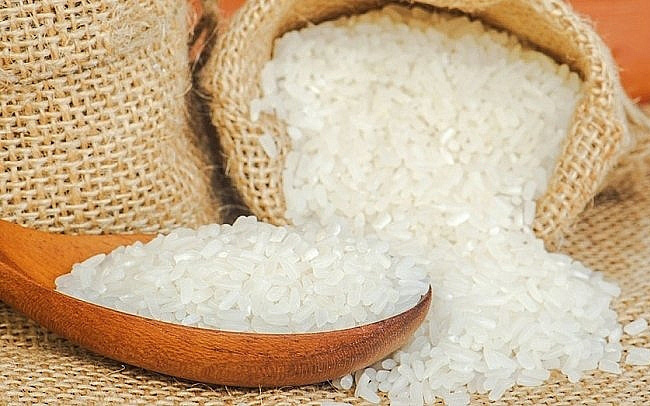 Gạo