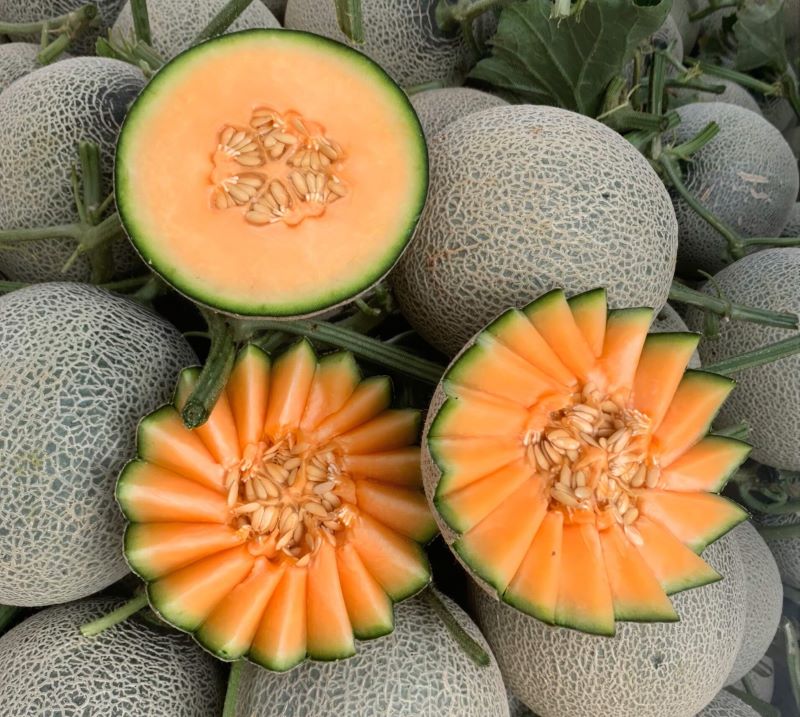 Dưa lưới có vị ngọt nhẹ, phù hợp với người giảm cân và bệnh nhân tiểu đường