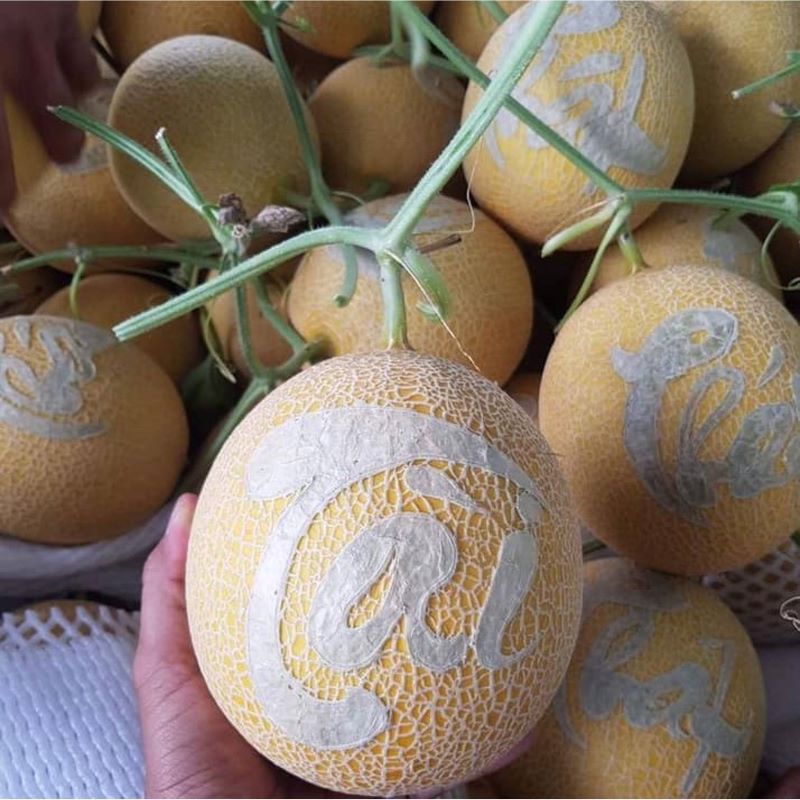 Dưa lưới khắc chữ đòi hỏi phải có sự đầu tư về mặt thời gian và vô cùng tỉ mỉ