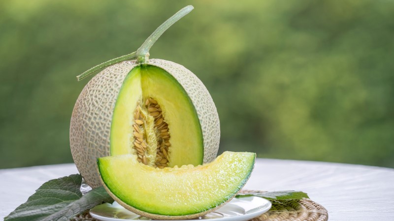 Nên lựa chọn thật kỹ lưỡng dưa lưới để đảm bảo chất lượng