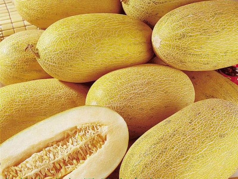 BIFARM là địa chỉ cung cấp dưa lưới chất lượng