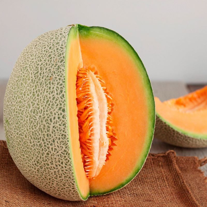 Lựa chọn dưa lưới chất lượng tại BIFARM