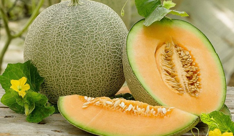 Bên ngoài và bên trong của quả dưa lưới