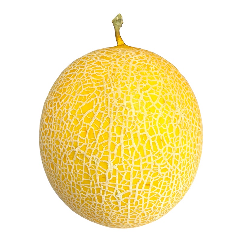 Dưa lưới vàng