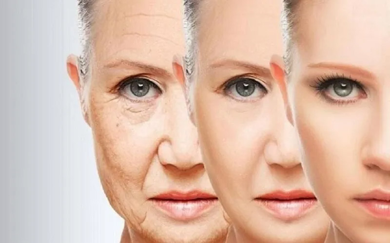 Dưa lưới chứa chất dinh dưỡng giúp ngăn ngừa lão hóa